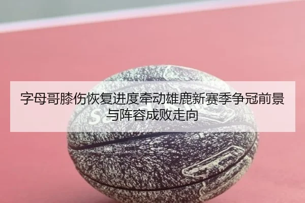 字母哥膝伤恢复进度牵动雄鹿新赛季争冠前景与阵容成败走向（kaiyun）