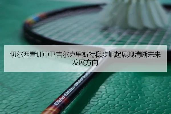 切尔西青训中卫吉尔克里斯特稳步崛起展现清晰未来发展方向